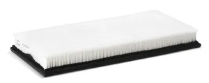 AF25742 FLEETGUARD Original-Luftfilter