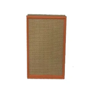 Fleetguard Air Filter AF25797