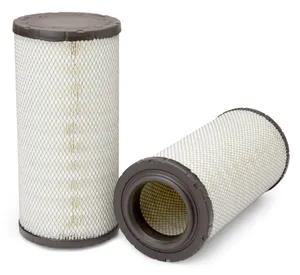 AF25957 - Air Filter, Primary