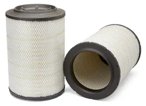 AF26163M - Air Filter, Primary, Magnum