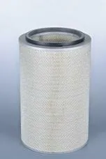 AF26296 FLEETGUARD Original-Luftfilter
