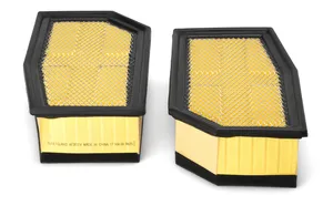 AF26374 FLEETGUARD Original-Luftfilter