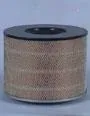 AF4842 FLEETGUARD Original-Luftfilter