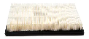 AF4949 FLEETGUARD Original-Luftfilter