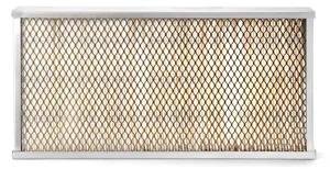 AF55806 FLEETGUARD Original-Luftfilter