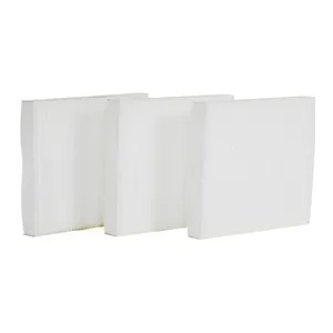 Fleetguard Air Filter Panel AF55839
