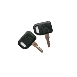 Ignition Key AM102439 M76975 M73153 for John Deere F710 F725 F735 F910 F912 F932 RX63 1200 180
