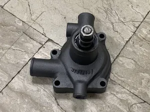 POMPA ACQUA PERKINS 3641250M91 — 3
