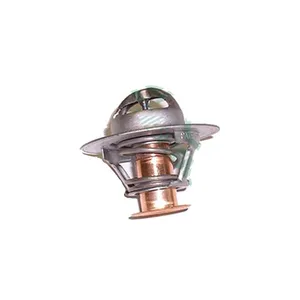 AR48675 - Thermostat