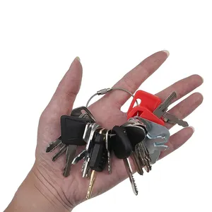 18 Pcs Ignition Key for CASE Caterpillar CAT Hitachi JCB John Deere Kobelco Komatsu Takeuchi Volvo Heavy Construction Equipment — 6