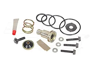 Dayton Parts AV5005037 Air Supply - Purge Valve Kit Hard Seat #9