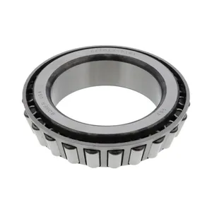 Pai 6149 The 495 Cone — 2