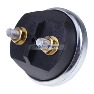 Brake Light Switch BE13250 for Haldex — 5