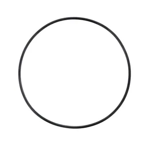 Pai 2939 Mack 56AX542 O-Ring — 2