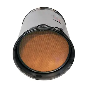 Roadwarrior C0033-SA Cummins 5579293 DPF