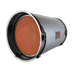 Roadwarrior C0153-SA Cummins 5579356 DPF