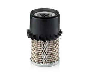 Mann Filter (C14138-1)