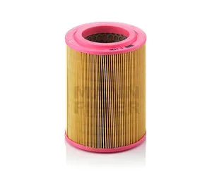 Mann Filter (C1430)