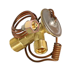 Expansion Valve 2G0401 for Caterpillar CAT 140G 416 943 953 D250D D300D