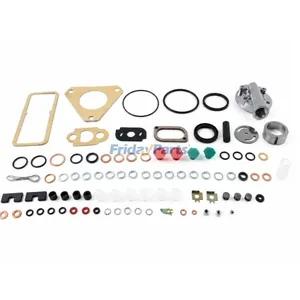 CAV Overhaul Rebuild Kit Iucas DPA Roto Diesel Injection Pump for Delphi Massey Ferguson MF Ford Tractor — 2