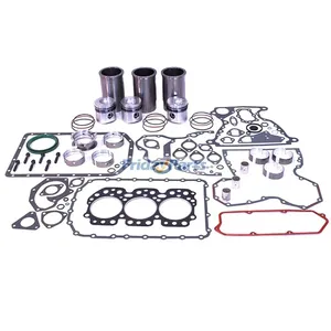 Standard Overhaul Rebuild Kit for John Deere Engine 3029D