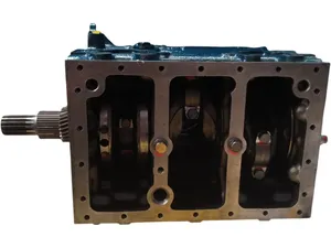 Kurbeltriebwerk Shortblock Motor für Kubota D1105 im AT — 5