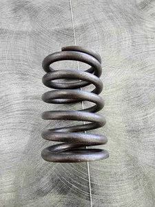 Valve Spring, Ford/Nholland, Used