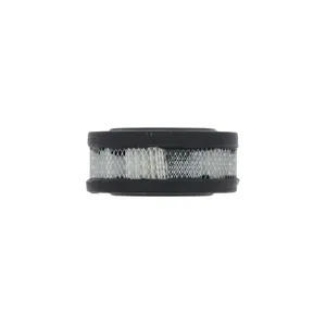 Pai 4535 Mack 279GB210 Filter — 3