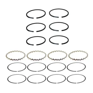 Pai 4055-020 Benchmark 107641 Air Compressor Ring Set