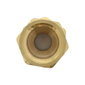 Excel EM40640 Mack 745-227871 Check Valve — 5