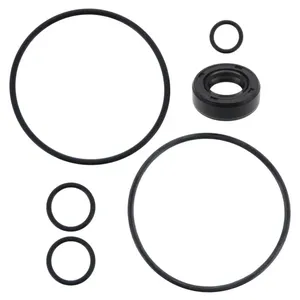 Pai 3946 Mack 8813-923548 Steering Pump Kit