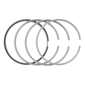 Pai 1810C Mack 353GC241BP1 Ring Set — 2