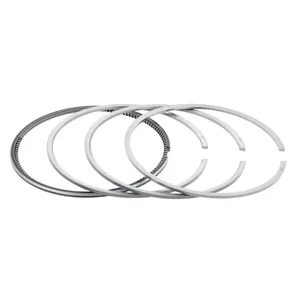 Pai 1810C Mack 353GC241BP1 Ring Set