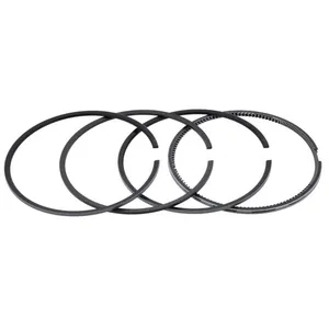 Pai 1820C Mack 353GC241AP1 Ring Set