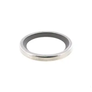 Pai 3304 Mack 447GC217A Seal