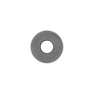 Pai 2950 Mack 343SB80 Thrust Ring — 2