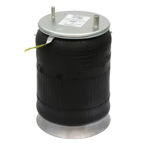 Pai 0582 Infinity 1R12-142 Air Spring