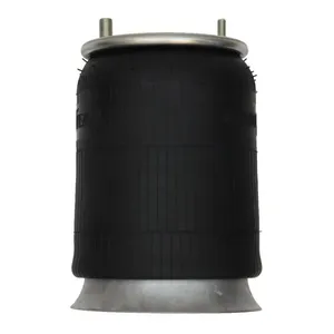 Pai 0582 Infinity 1R12-142 Air Spring — 5