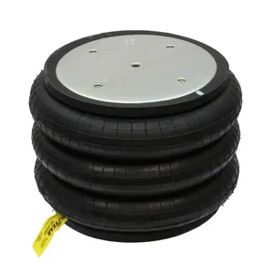 Pai 0674 Infinity 3B12-312 Air Spring — 2