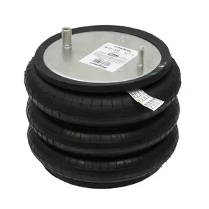 Pai 0674 Infinity 3B12-312 Air Spring