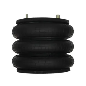 Pai 0674 Infinity 3B12-312 Air Spring — 5