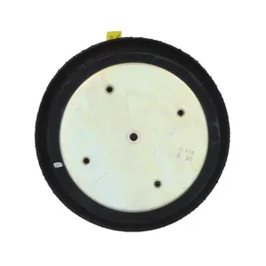 Pai 0674 Infinity 3B12-312 Air Spring — 4