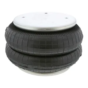 Pai 0683 Infinity 2B12-309 Air Spring