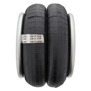 Pai 0683 Infinity 2B12-309 Air Spring — 4