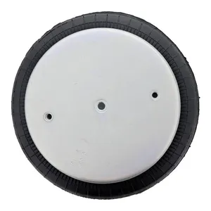 Pai 0683 Infinity 2B12-309 Air Spring — 3
