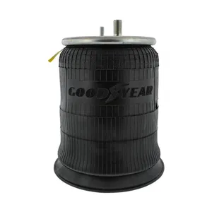 Pai 0688 Infinity 1R12-303 Air Spring