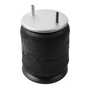 Pai 0690 Infinity 1R12-090 Air Spring