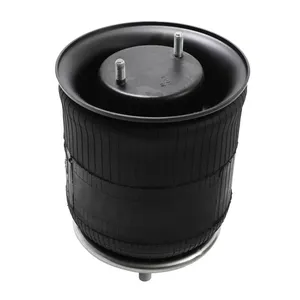 Pai 0690 Infinity 1R12-090 Air Spring — 2