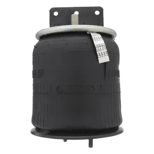 Pai 0692 Infinity 1R12-401 Air Spring — 5