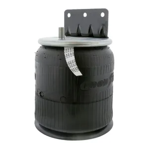 Pai 0692 Infinity 1R12-401 Air Spring
